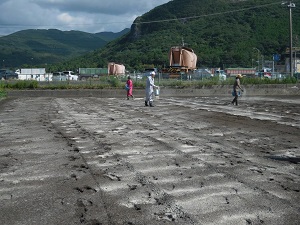 石灰を撒いている写真（9月5日）