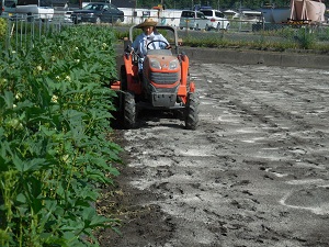 トラクターで肥料をすき込んでいる写真（9月5日）