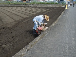 畝上げ機で排水路を作っている写真（9月5日）