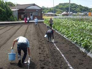 機械が通る箇所に石灰で線を引いている写真（9月5日）