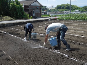 機械が通る箇所に石灰で線を引いている写真2（9月5日）