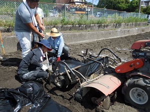 機械で畝上げとマルチ張りをしている写真3（9月5日）