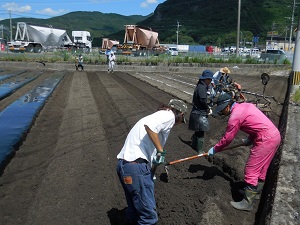 畝溝を綺麗にしている写真（9月5日）