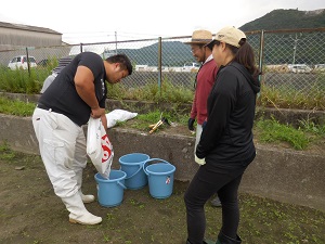 肥料を分けている写真（9月26日）