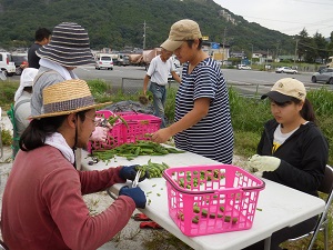 収穫した野菜を分けている写真2（9月26日）