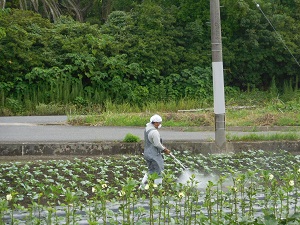 消毒している写真（9月26日）