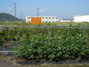 看板の写真1（9月19日）