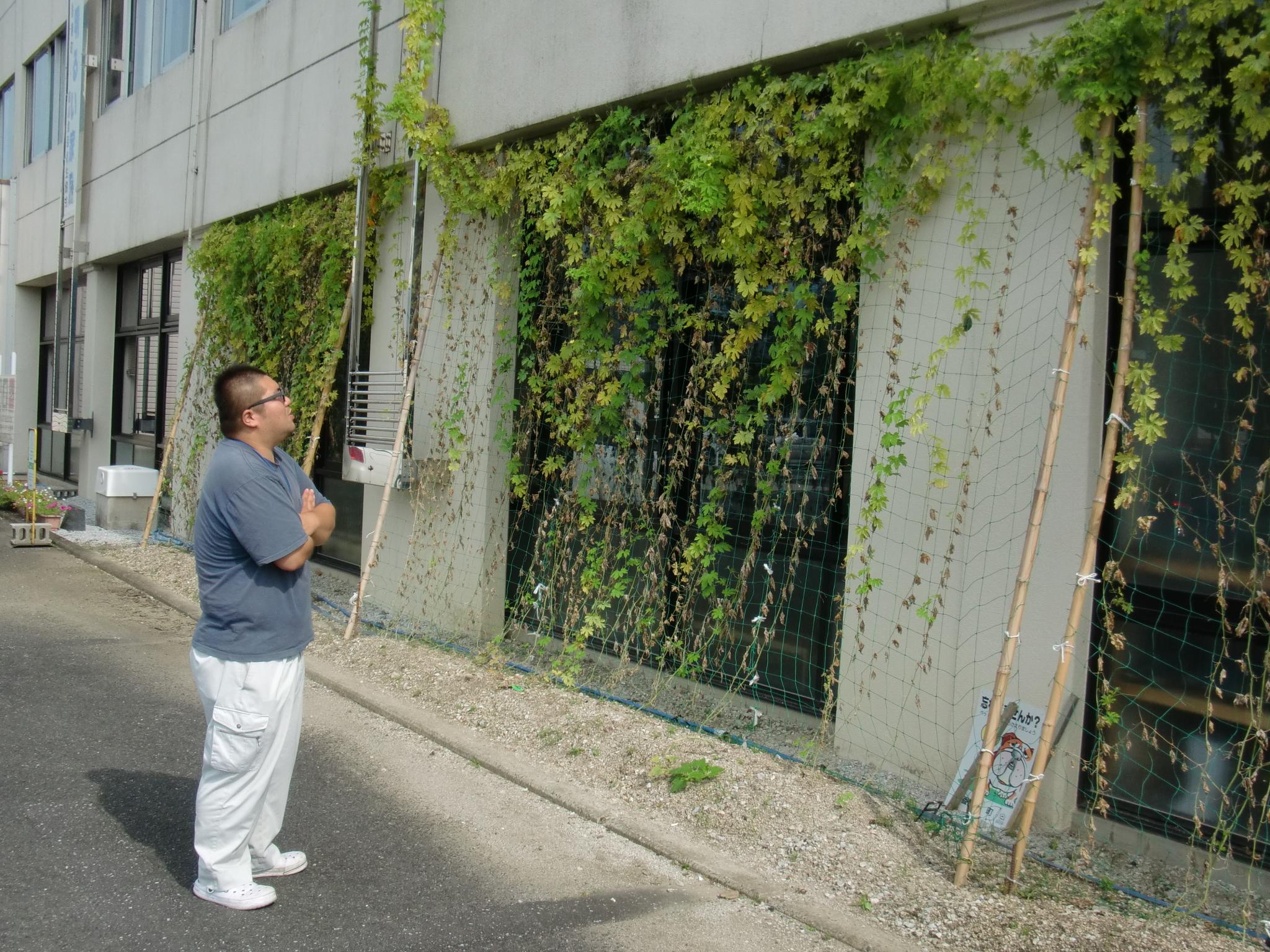 杉ちゃんのマイルドゴーヤ日記 201401