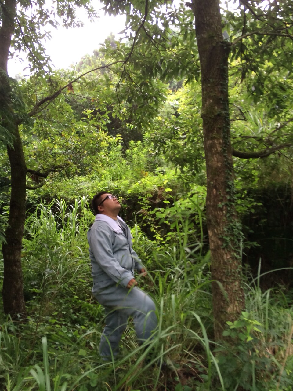 杉ちゃんのマイルドゴーヤ日記 201402