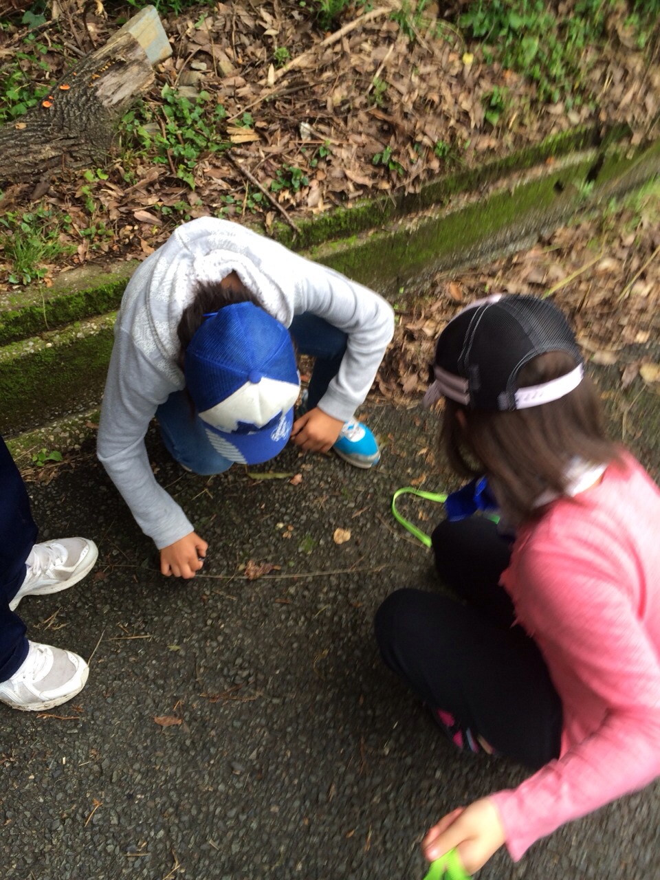 杉ちゃんのマイルドゴーヤ日記 201403