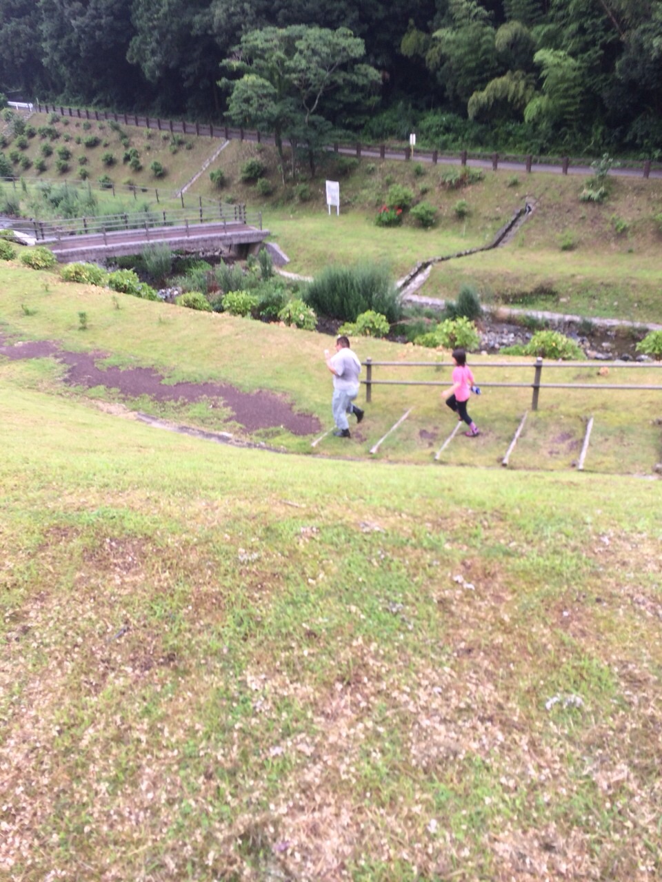 杉ちゃんのマイルドゴーヤ日記 201404