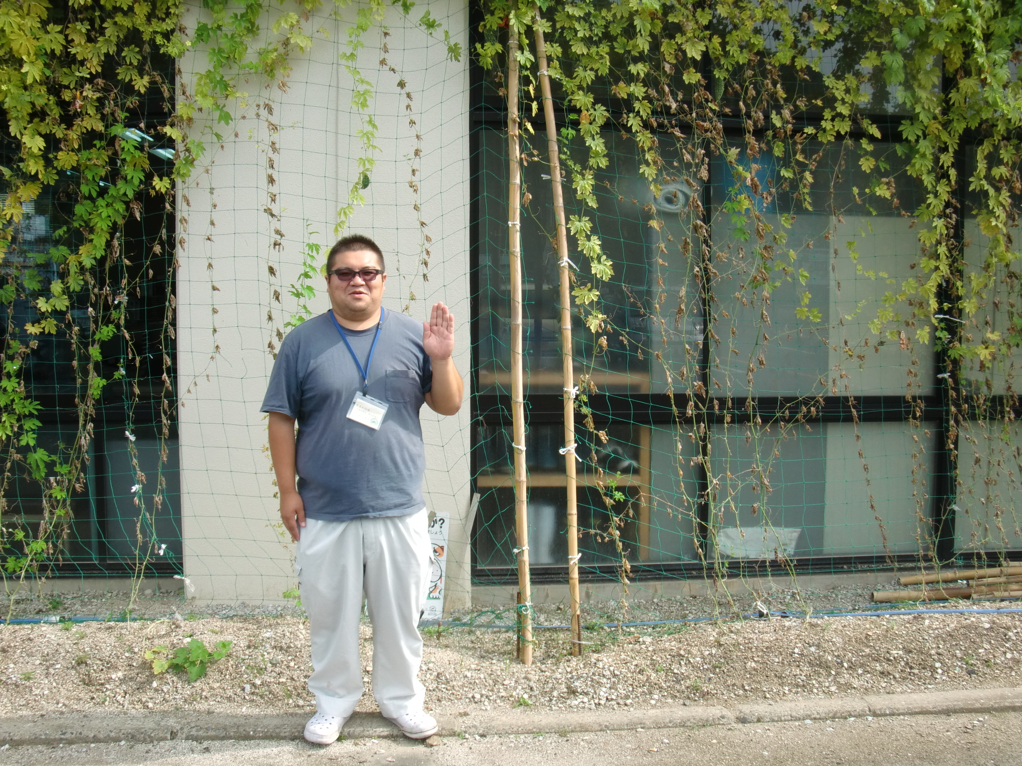 杉ちゃんのマイルドゴーヤ日記 201406