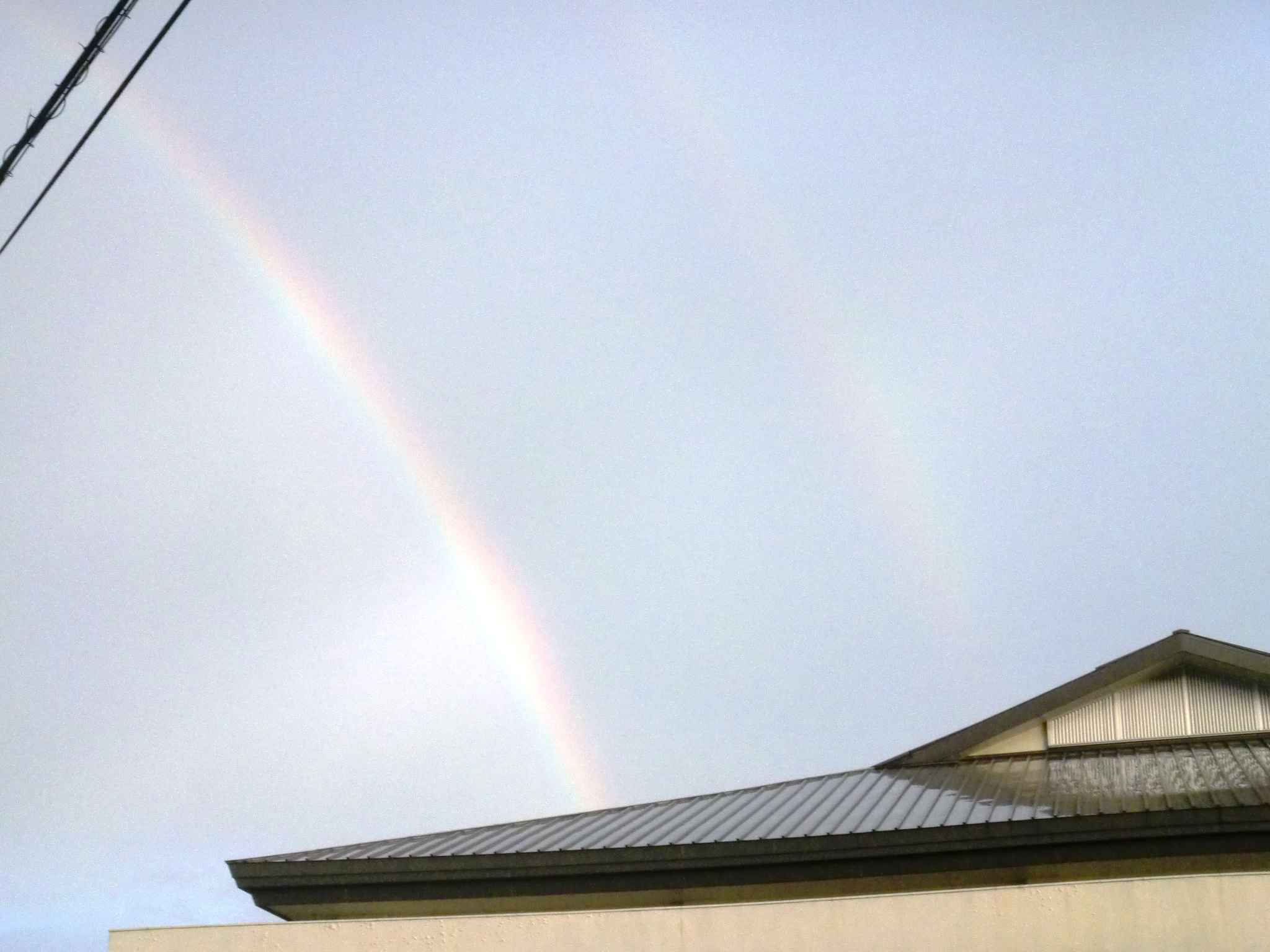 杉ちゃんのマイルドゴーヤ日記 201414