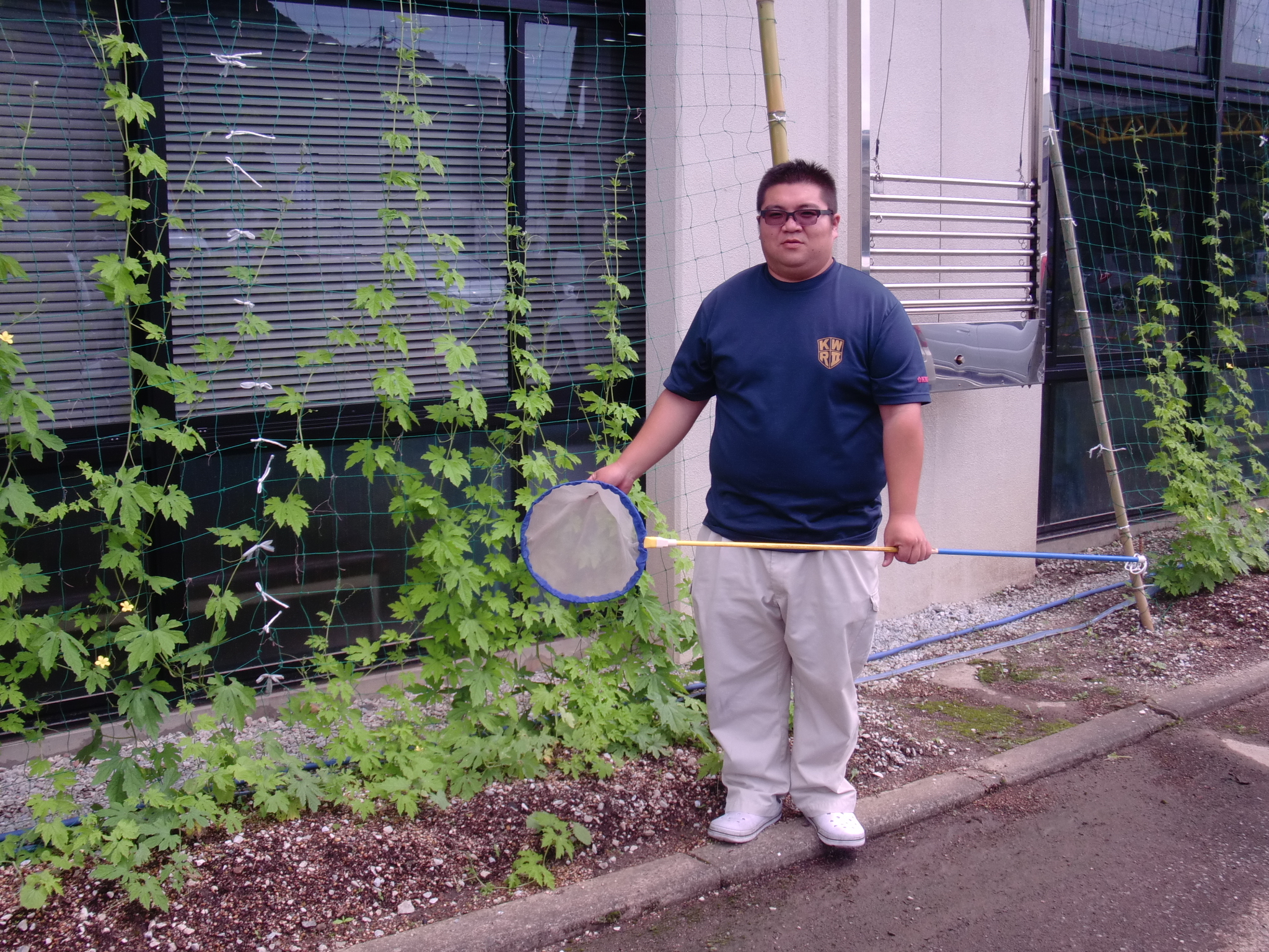 杉ちゃんのマイルドゴーヤ日記 201415