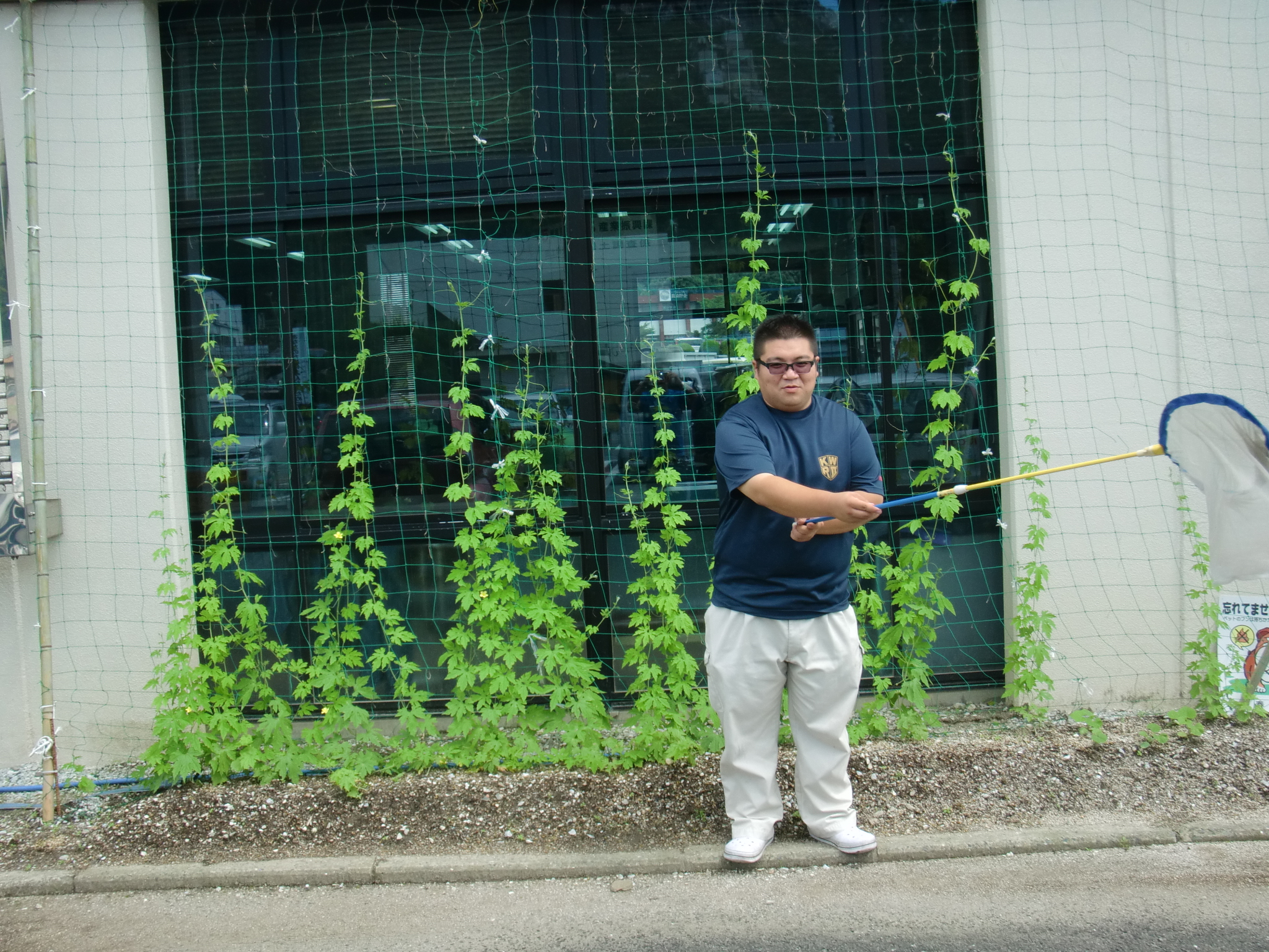 杉ちゃんのマイルドゴーヤ日記 201416