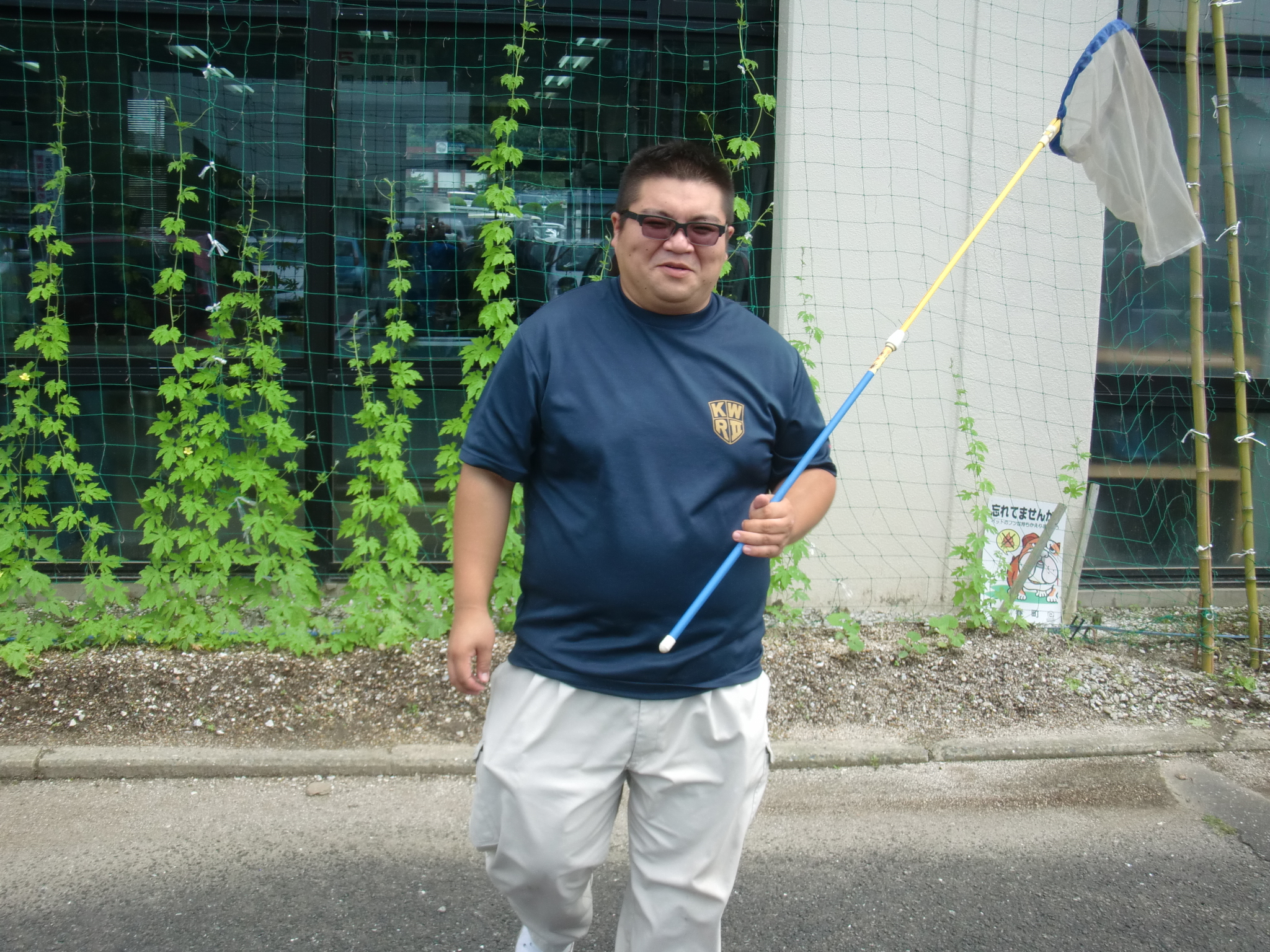 杉ちゃんのマイルドゴーヤ日記 201417