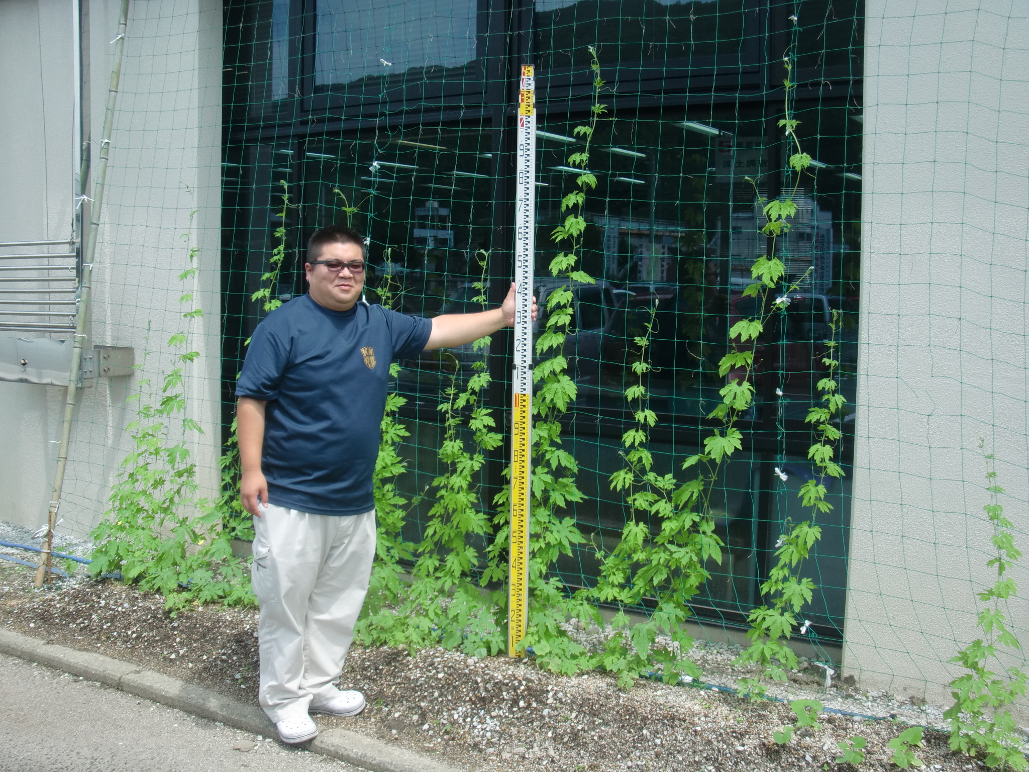 杉ちゃんのマイルドゴーヤ日記 201418