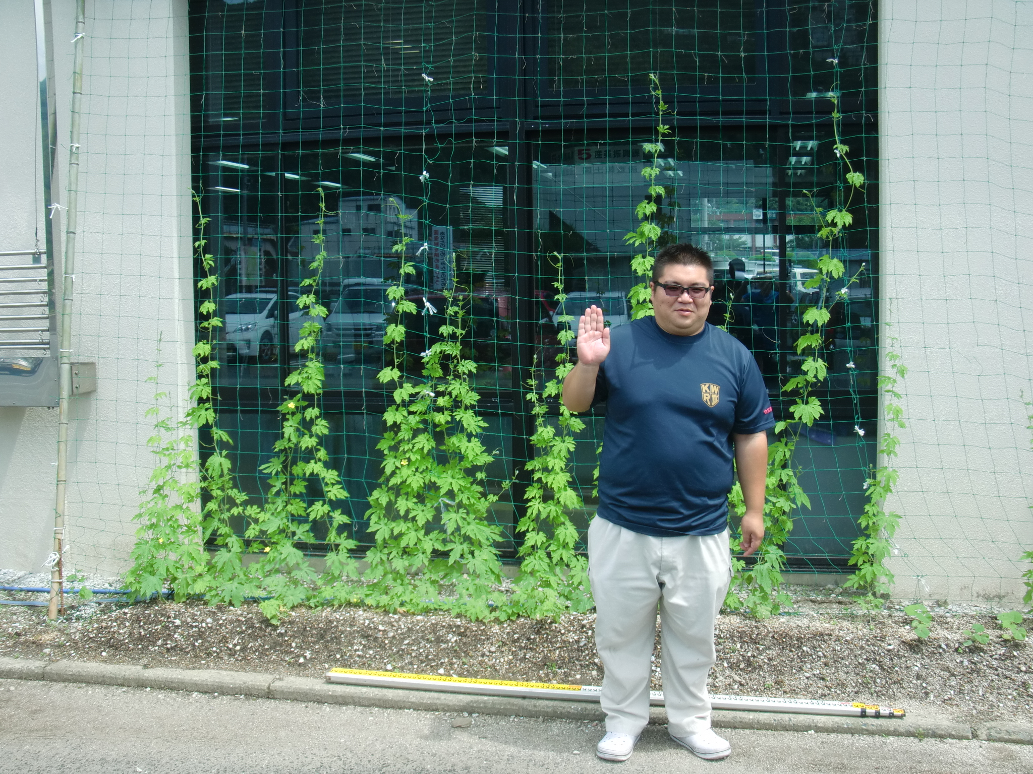 杉ちゃんのマイルドゴーヤ日記 201420