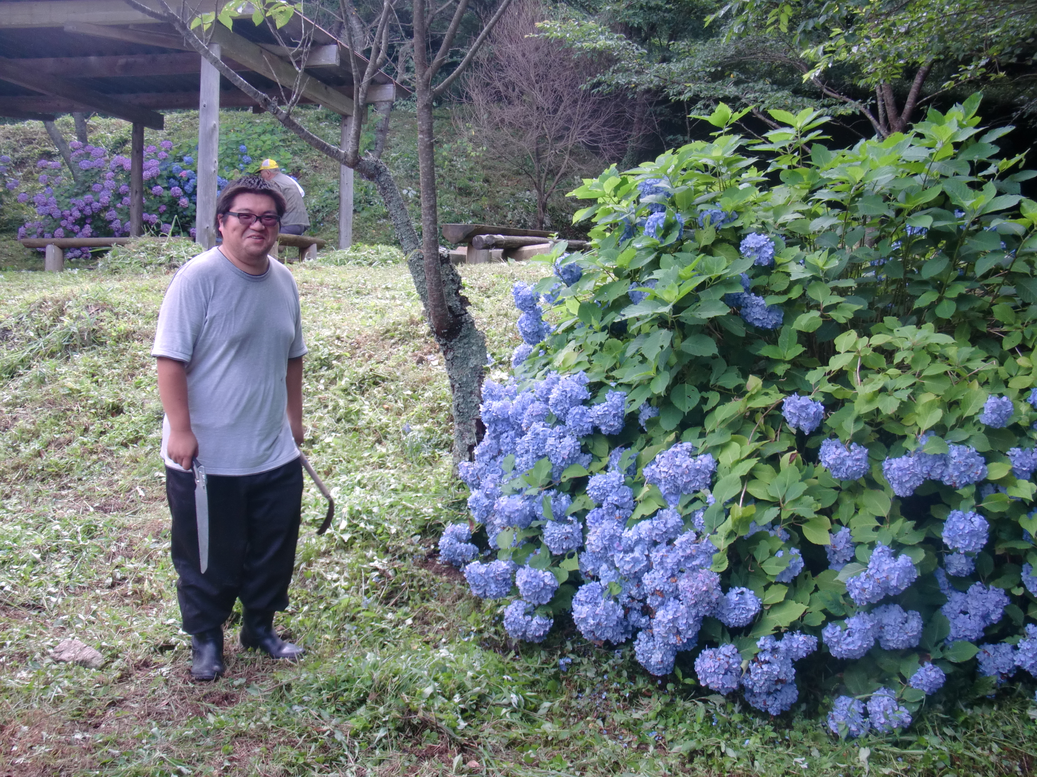 杉ちゃんのマイルドゴーヤ日記 201421