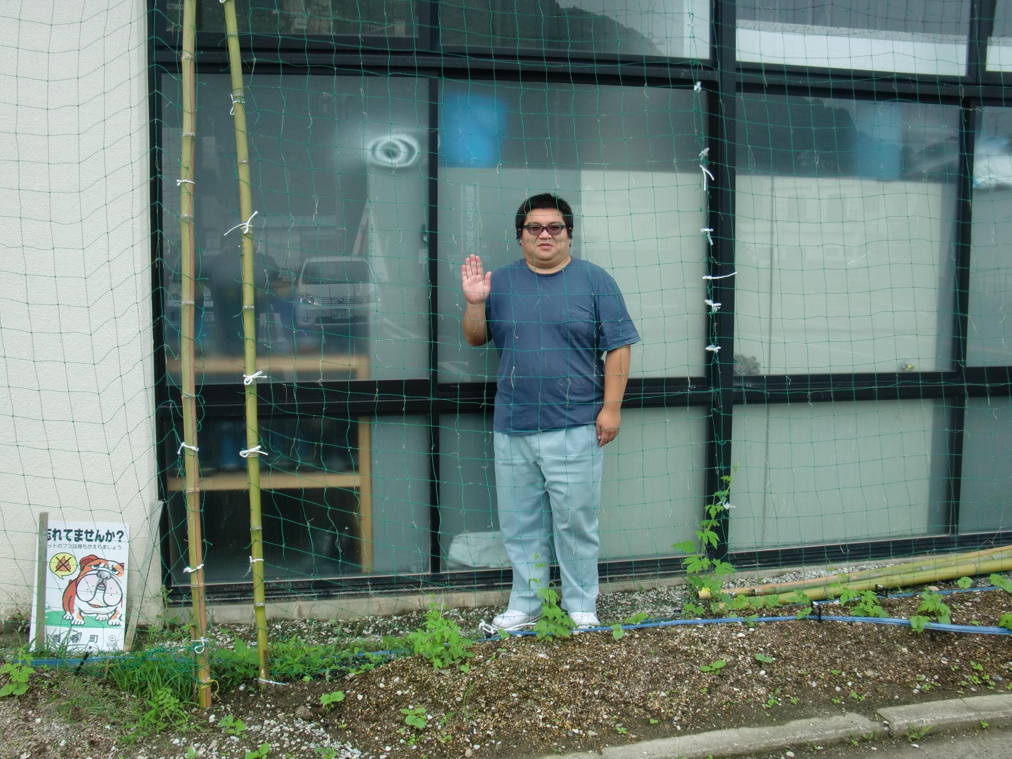 杉ちゃんのマイルドゴーヤ日記 201424