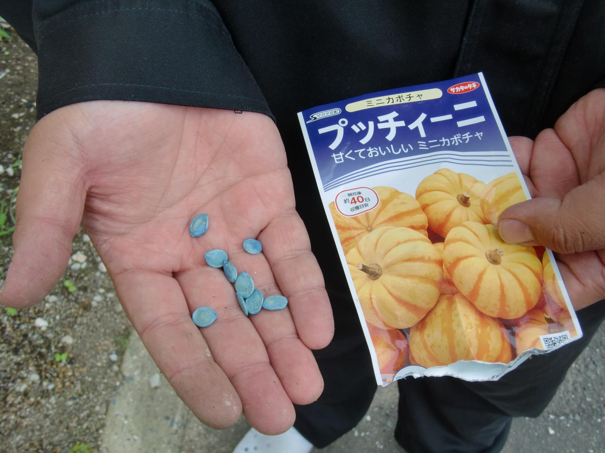 杉ちゃんのマイルドゴーヤ日記 201426