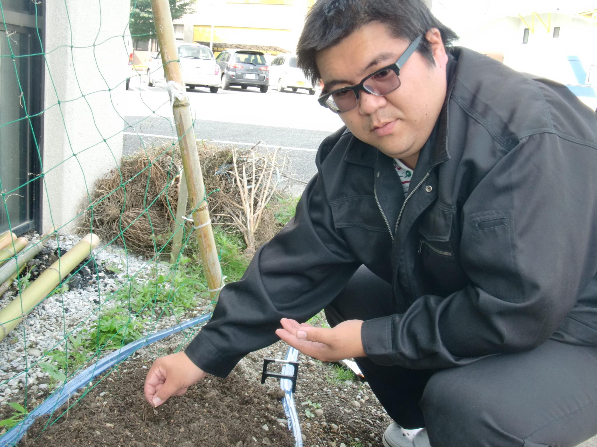 杉ちゃんのマイルドゴーヤ日記 201427