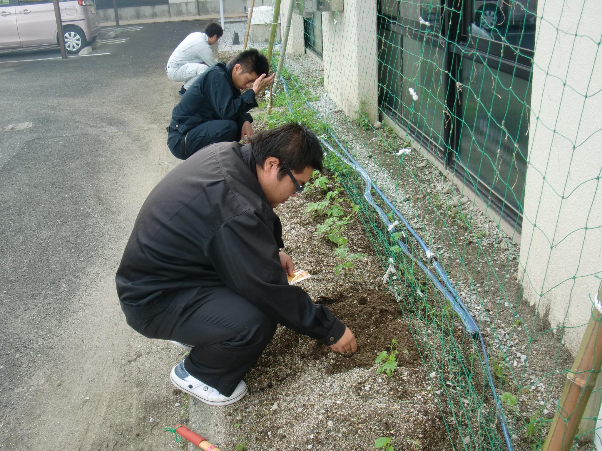 杉ちゃんのマイルドゴーヤ日記 201428
