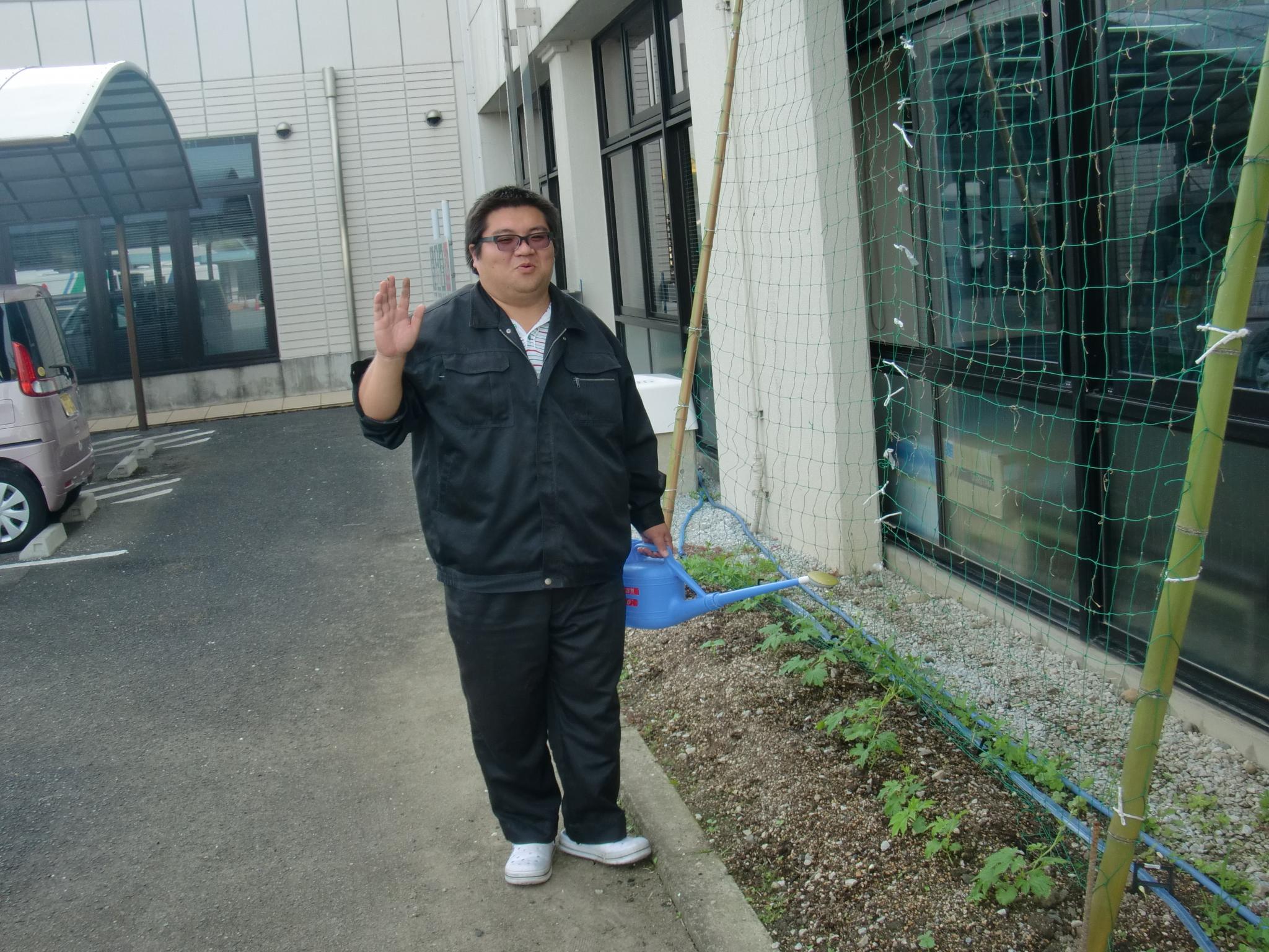 杉ちゃんのマイルドゴーヤ日記 201429