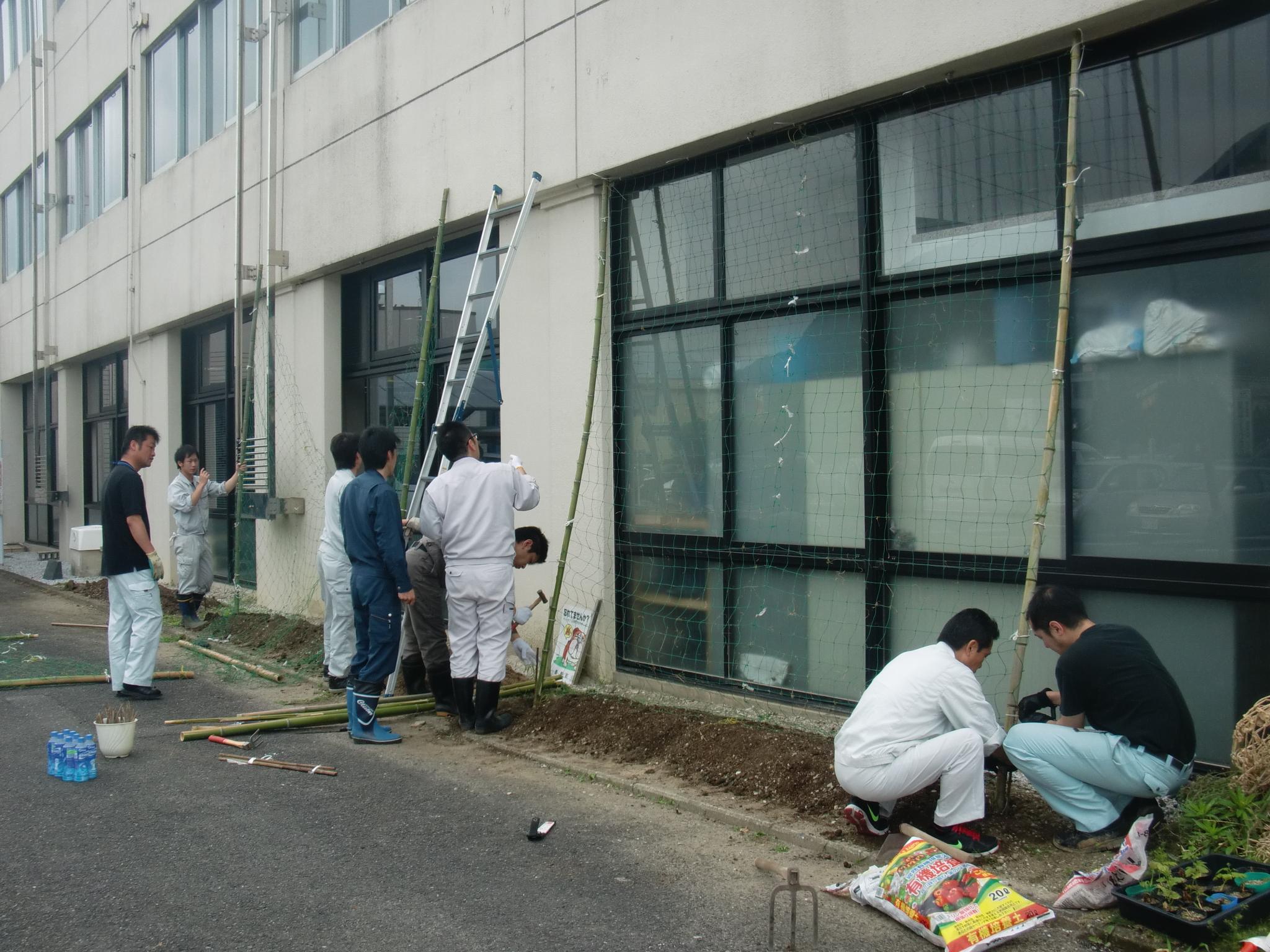 杉ちゃんのマイルドゴーヤ日記 201430