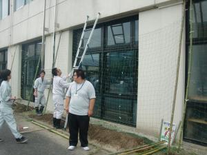 杉ちゃんのマイルドゴーヤ日記 201431