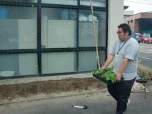 杉ちゃんのマイルドゴーヤ日記 201432