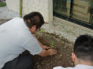 杉ちゃんのマイルドゴーヤ日記 201435