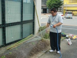 杉ちゃんのマイルドゴーヤ日記 201436