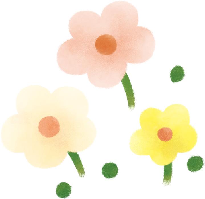 画像 お花