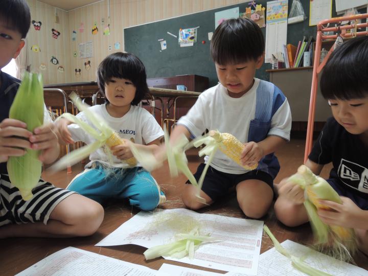 とうもろこし