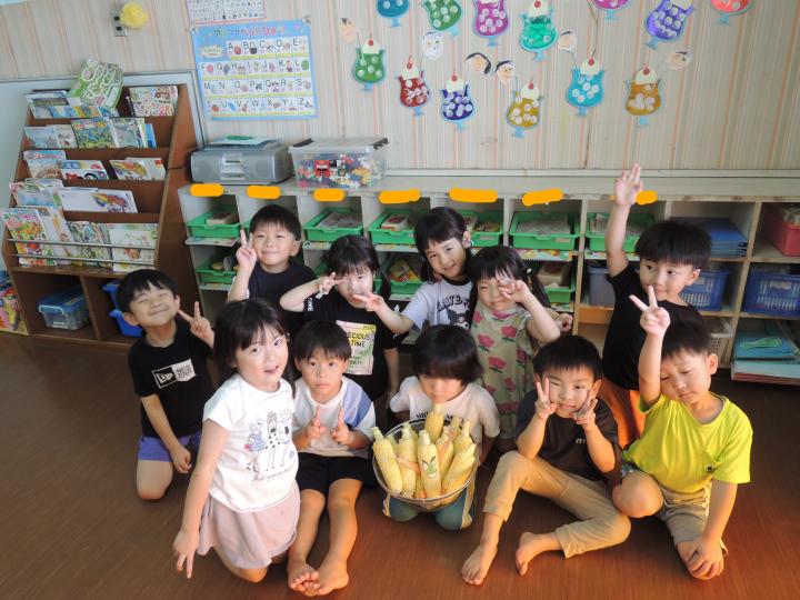 とうもろこし