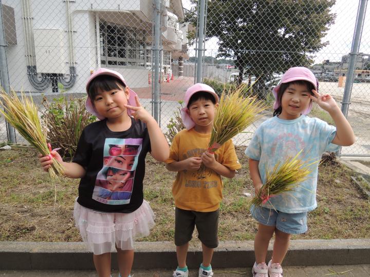 米
