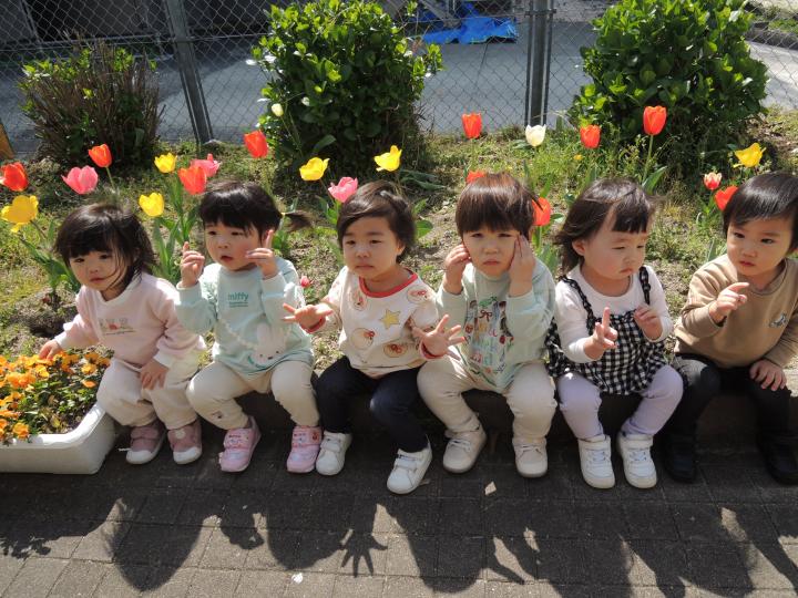 チューリップ