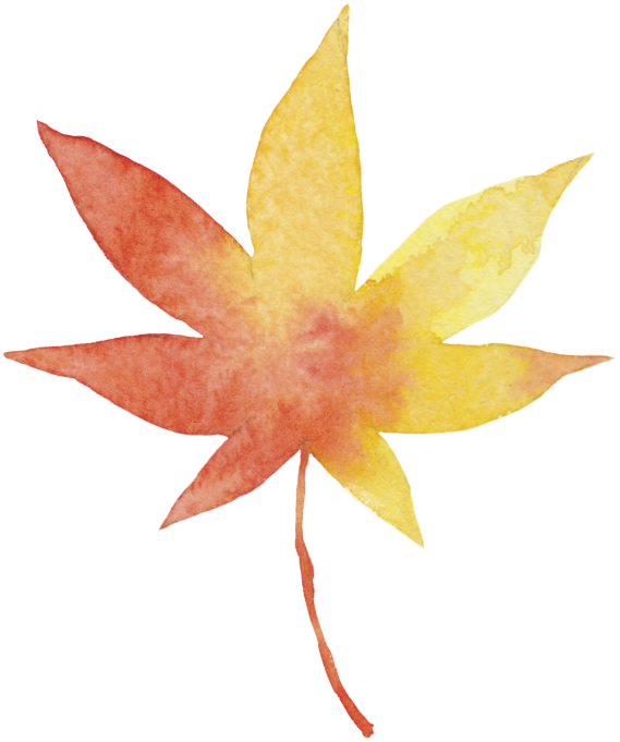 momiji.png