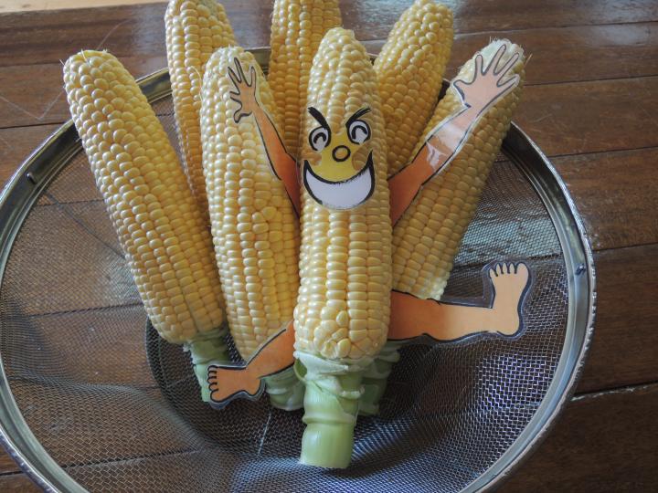 絵本給食