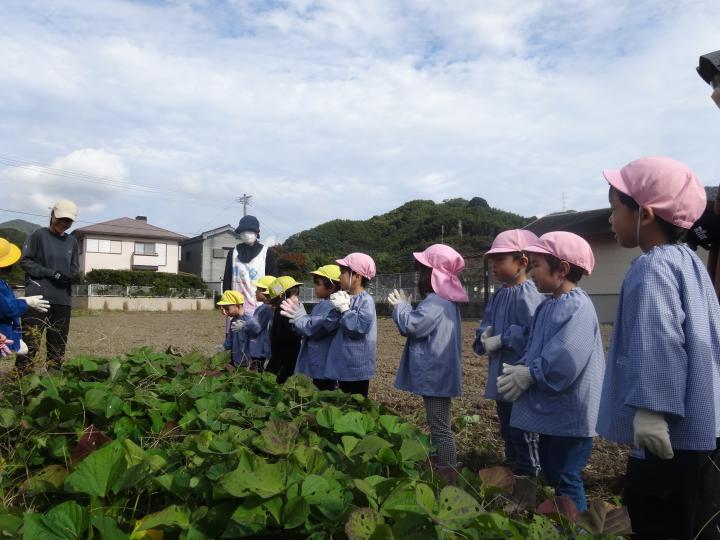 071112imohori.JPG