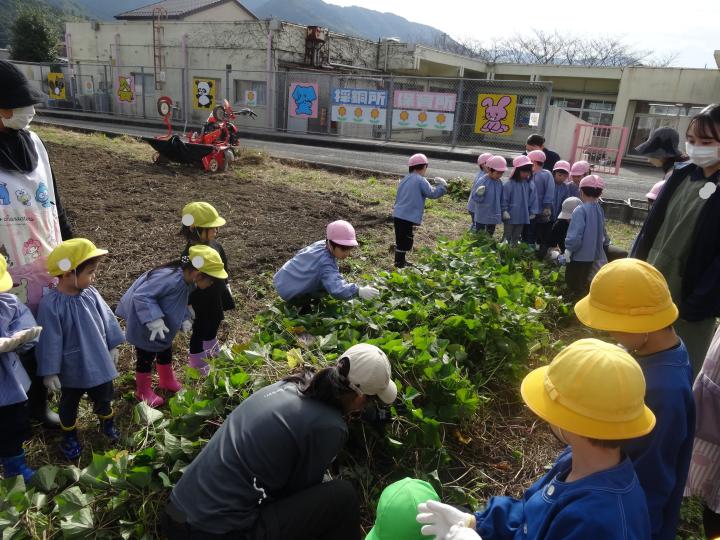 071114imohori.JPG