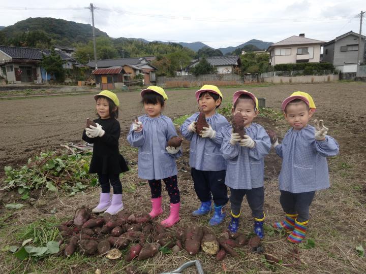 071118imohori.JPG