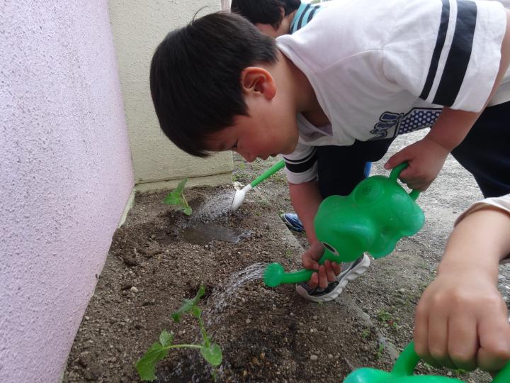080515katudou.jpg