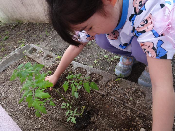 080516katudou.jpg