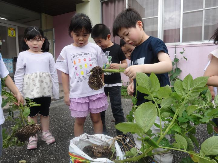 070605katsudou.JPG