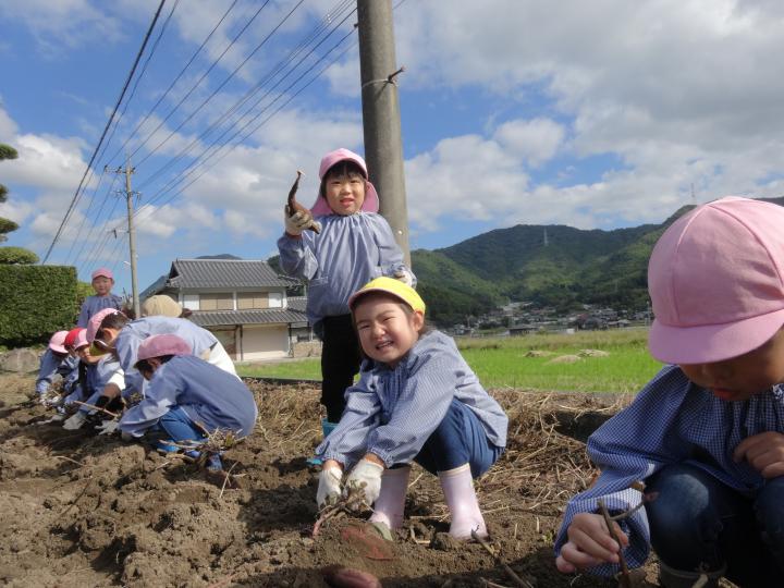 071005imohori.JPG